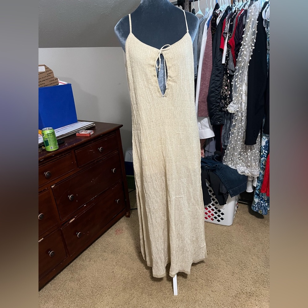 Amuse Society dress